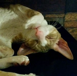 Meet your Posher, Claire